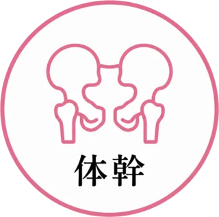 体幹