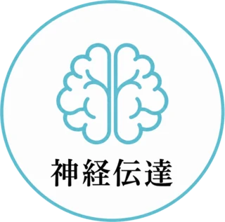 神経伝達